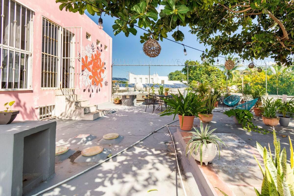 Carlota Guest House Cozumel Extérieur photo